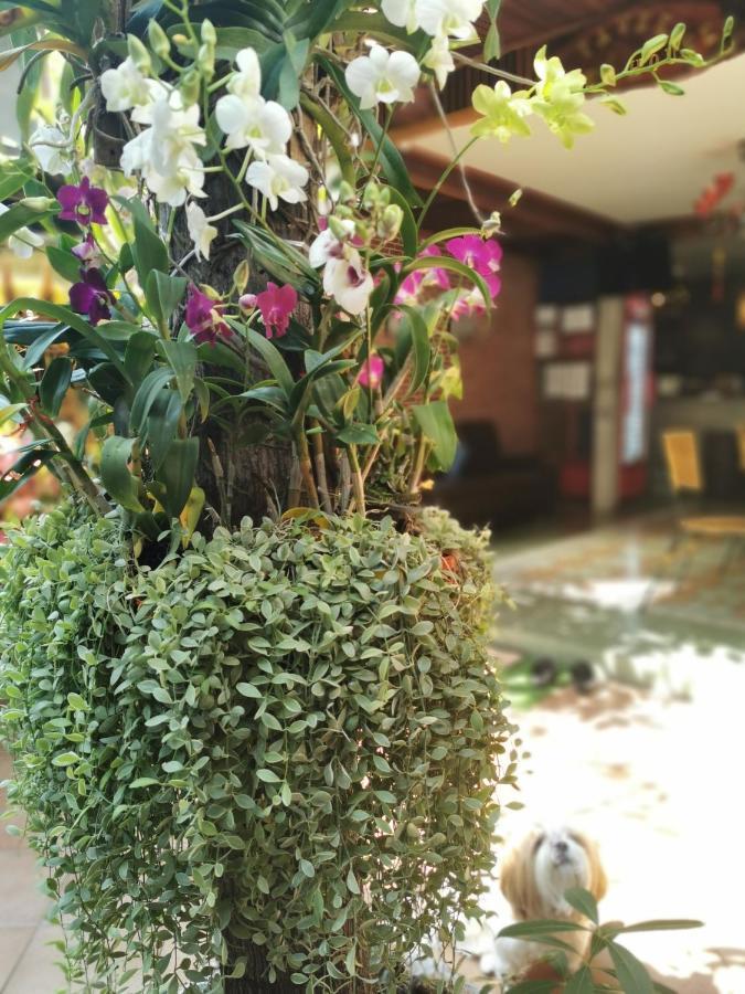Tavee Guesthouse Μπανγκόκ Εξωτερικό φωτογραφία